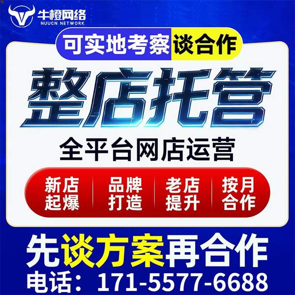 邹城电商代运营