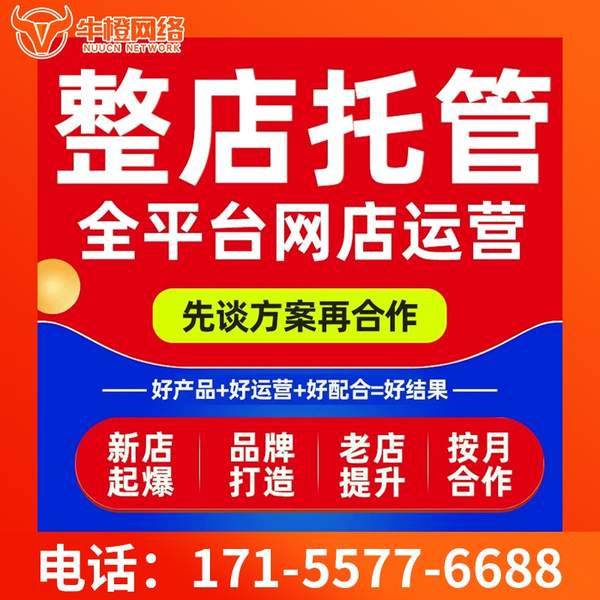 邹城电商代运营