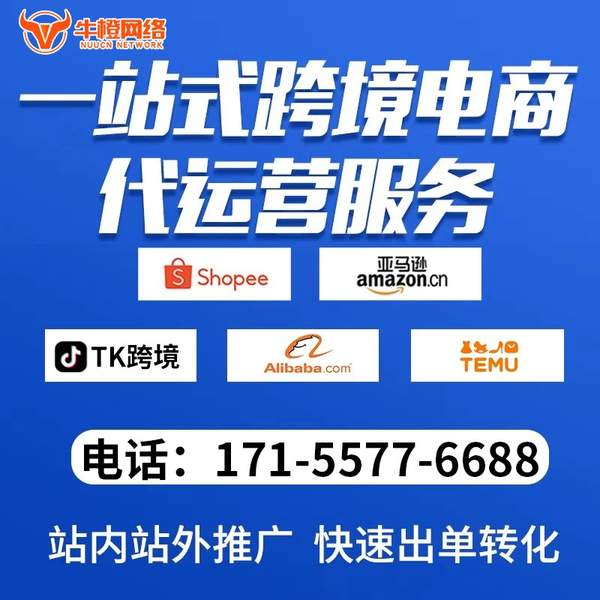 邹城电商代运营