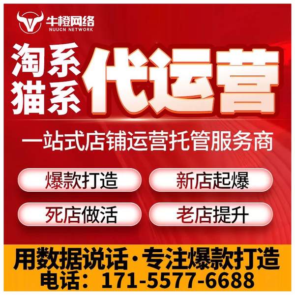 邹城电商代运营